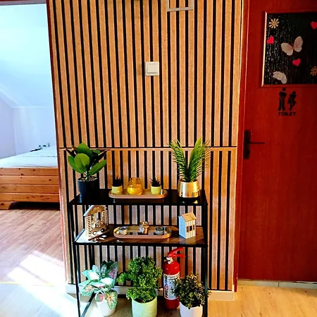 Casa Naomi 홈스테이 *